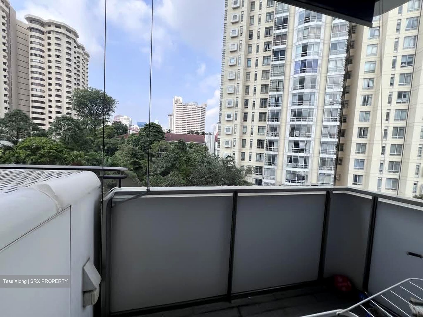 The Scotts Tower (D9), Condominium #600956931
